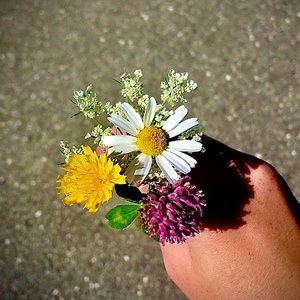 Meet your Posher, Sarah